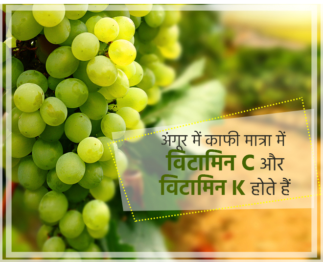 विटामिन्स से भरपूर Grapes